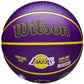 Wilson NBA Player Icon LeBron James Outdoor Ball WZ4027601XB Accessories/Balls/Basketball Your Sports Performance
