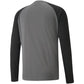 Puma teamPacer GK LS M goalkeeper sweatshirt 704933 43 Clothing/Football Puma