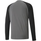 Puma teamPacer GK LS M goalkeeper sweatshirt 704933 43 Clothing/Football Puma