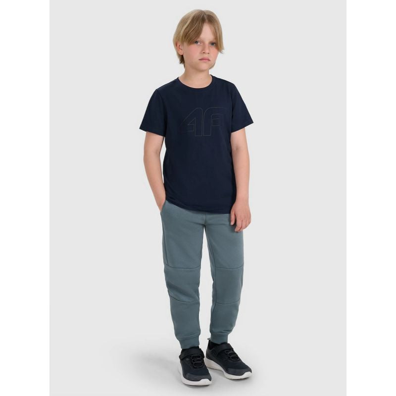 Boy's regular printed T-shirt 4F 4FJRMM00TTSHM3255-31S 4f