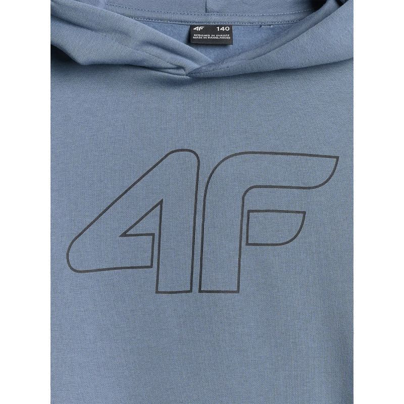 Boy's regular hooded sweatshirt 4F 4FJRSS26TSWSM2748-32S 4f