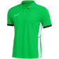 Nike Dri-Fit Academy 25 SS Polo Shirt M FZ9759 329 Clothing/Football Nike