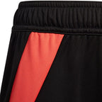 Adidas Tiro 24 Jr IT2424 shorts Clothing/Football Adidas