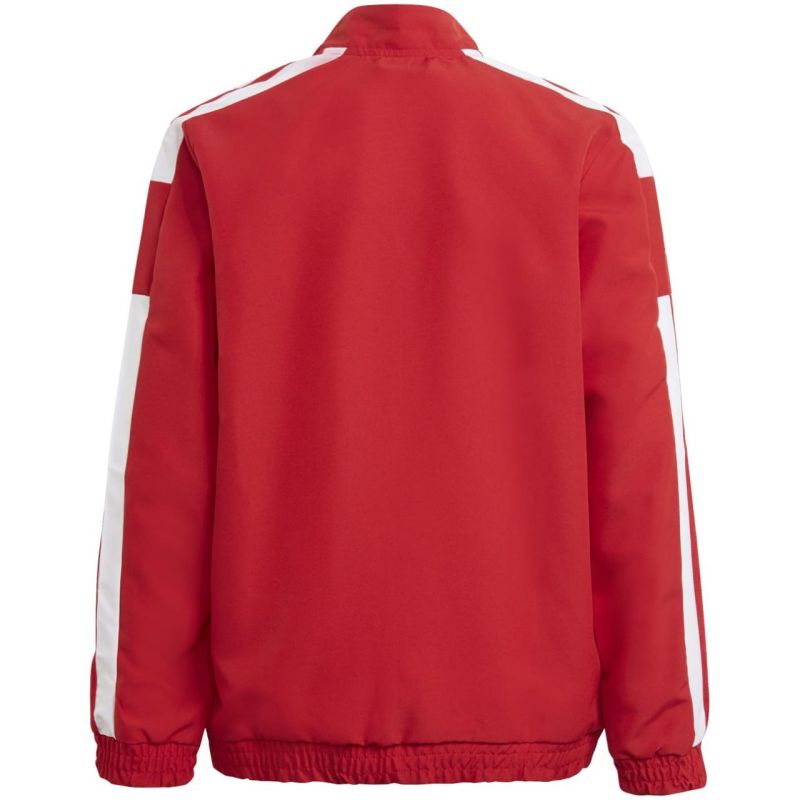 Adidas Squadra 21 Presentation Jacket Jr GP6439 sweatshirt Clothing/Football Adidas