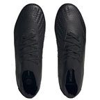 Adidas Predator Accuracy.2 FG M GW4588 football shoes Footwear/Football Adidas