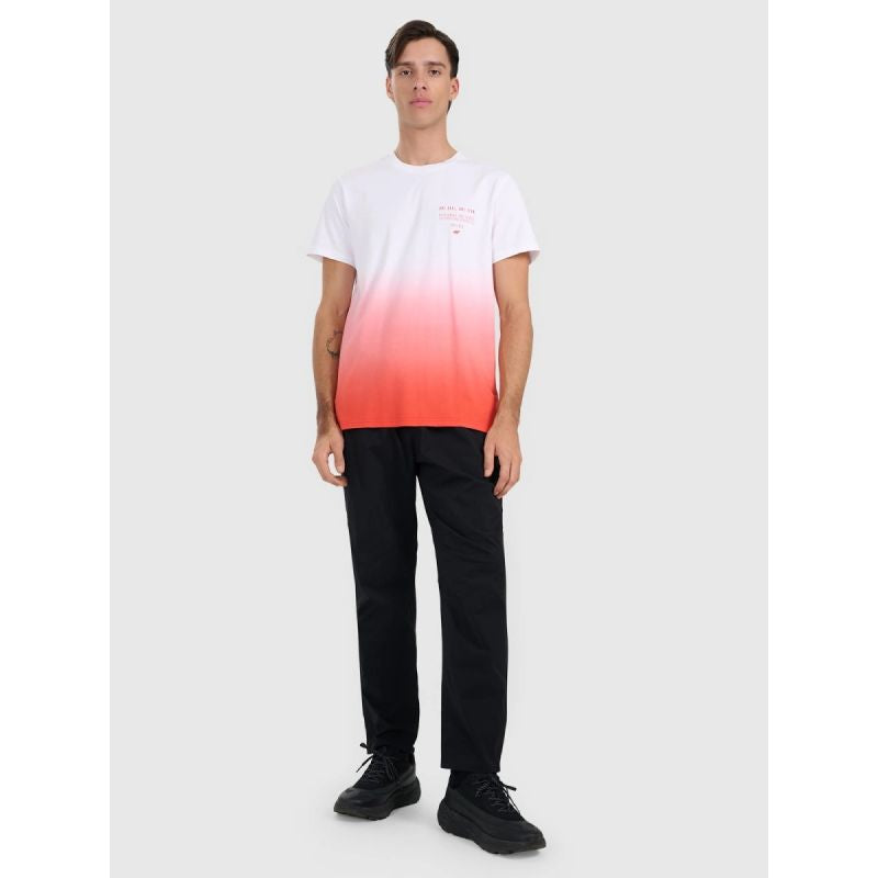 Men's regular printed T-shirt 4F 4FRAW25TTSHM3226-62S 4f
