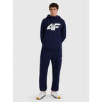 Men's jogger sweatpants 4F 4FRMM00TTROM1625-31S 4f