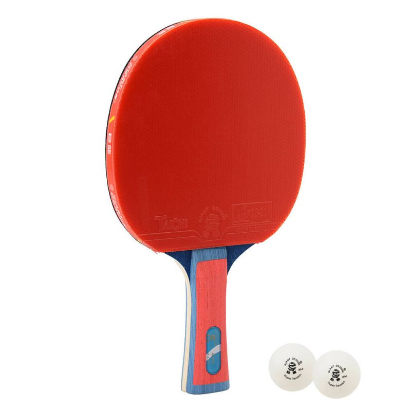 Giant Dragon 4★ N804 Table Tennis Racket Accessories/Rackets and accessories Your Sports Performance