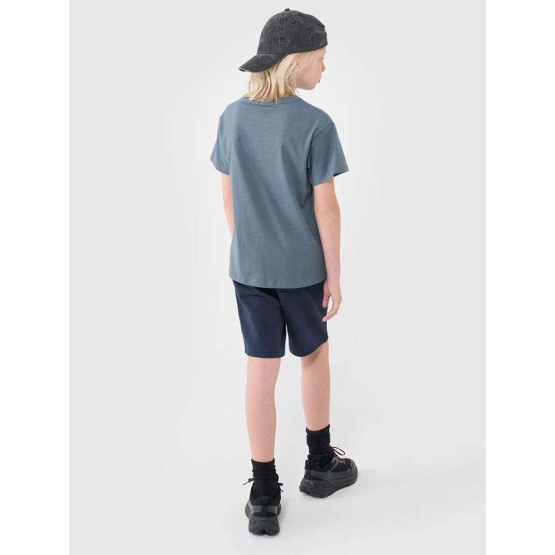 Boys' sweatpants 4F 4FJWSS25TSHOM601-31S *Kategoria tymczasowa Your Sports Performance