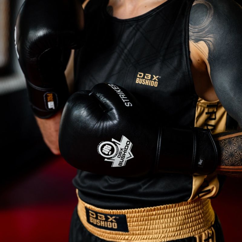10oz Boxing Gloves - Striker - Legacy Series rękawice treningowe Your Sports Performance
