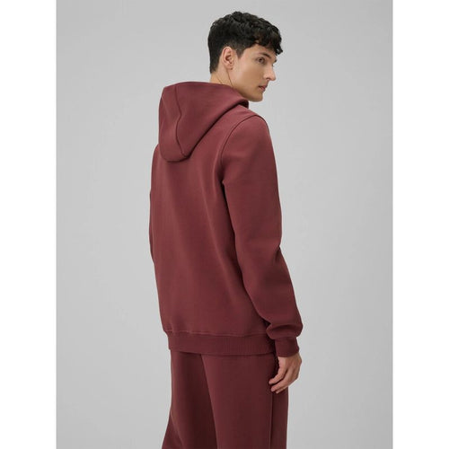 Men's regular hooded sweatshirt 4F 4FRSS26TSWSM2793-60S 4f