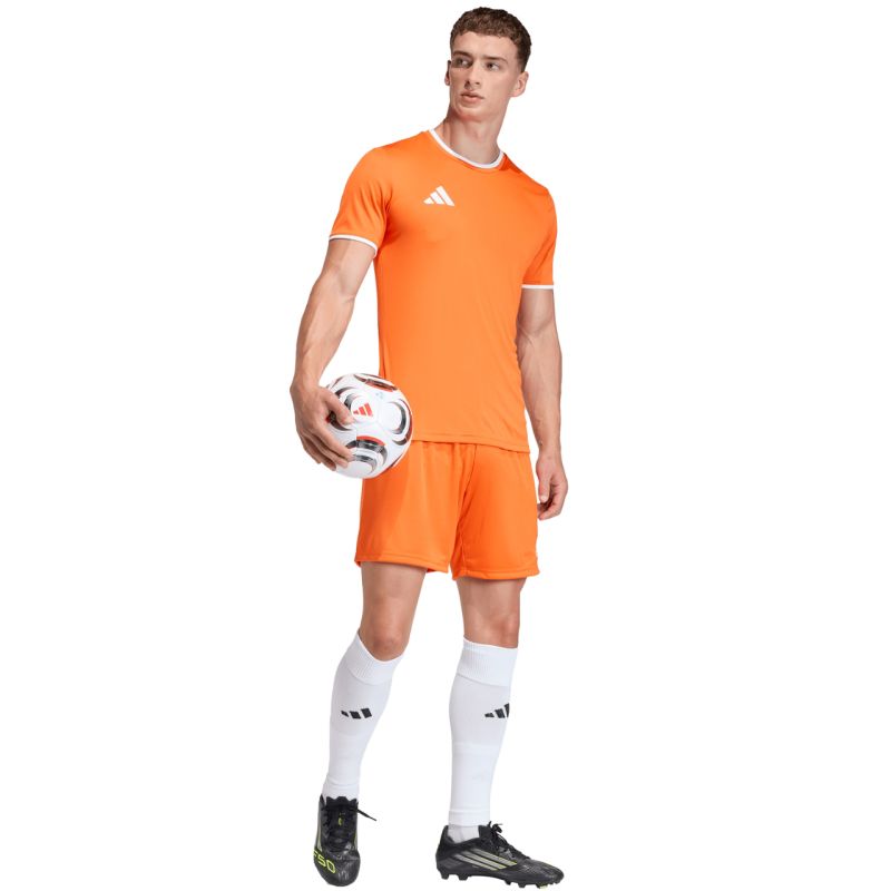 Men's adidas Entrada 26 shorts orange JZ2512 adidas