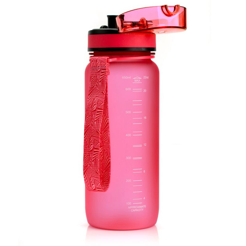 Water bottle Meteor 500 ml 74573 Accessories/Training equipment Your Sports Performance