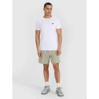 Slim men's t-shirt (2-pack) men's 4F 4FRMM00TTSHM3068-10S