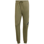 adidas Essentials Big Logo French Terry Pants M JE8970 Clothing/Lifestyle/Trousers, shorts Adidas