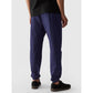 Men's casual joggers 4F 4FWMM00TTROM0944-31S *Kategoria tymczasowa Your Sports Performance