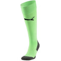 Puma Team Liga Socks Core 703441 47 football socks Clothing/Football Puma