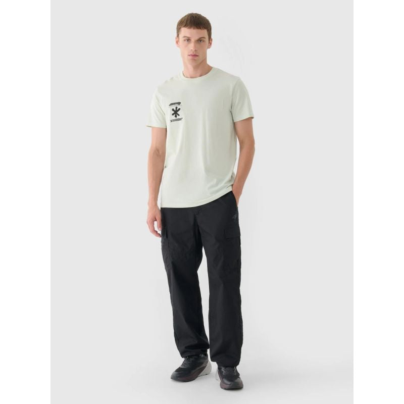 Men's regular printed T-shirt 4F 4FRAW24TTSHM2603-47S 4f