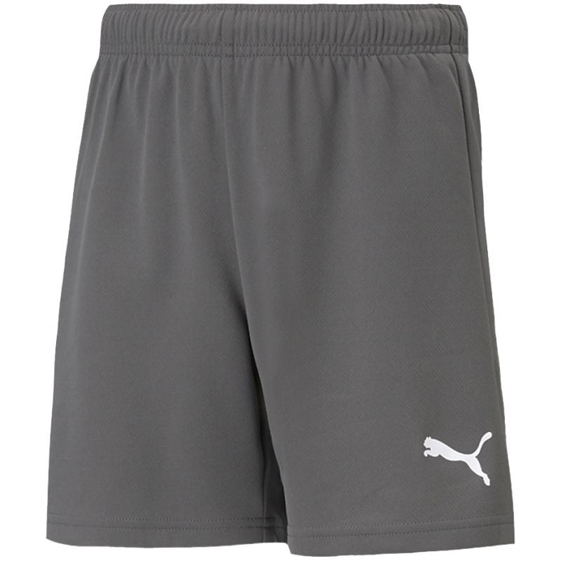 Puma teamRise Short Jr 704943 13 Clothing/Training Puma