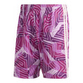 adidas Tiro 26 Competition Goalkeeper Shorts KC5348 adidas