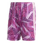 adidas Tiro 26 Competition Goalkeeper Shorts KC5348 adidas