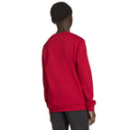 adidas Entrada 26 Sweat Top red JZ6556 To be categorized Your Sports Performance