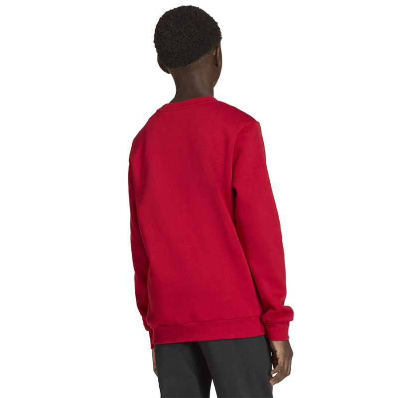 adidas Entrada 26 Sweat Top red JZ6556 To be categorized Your Sports Performance