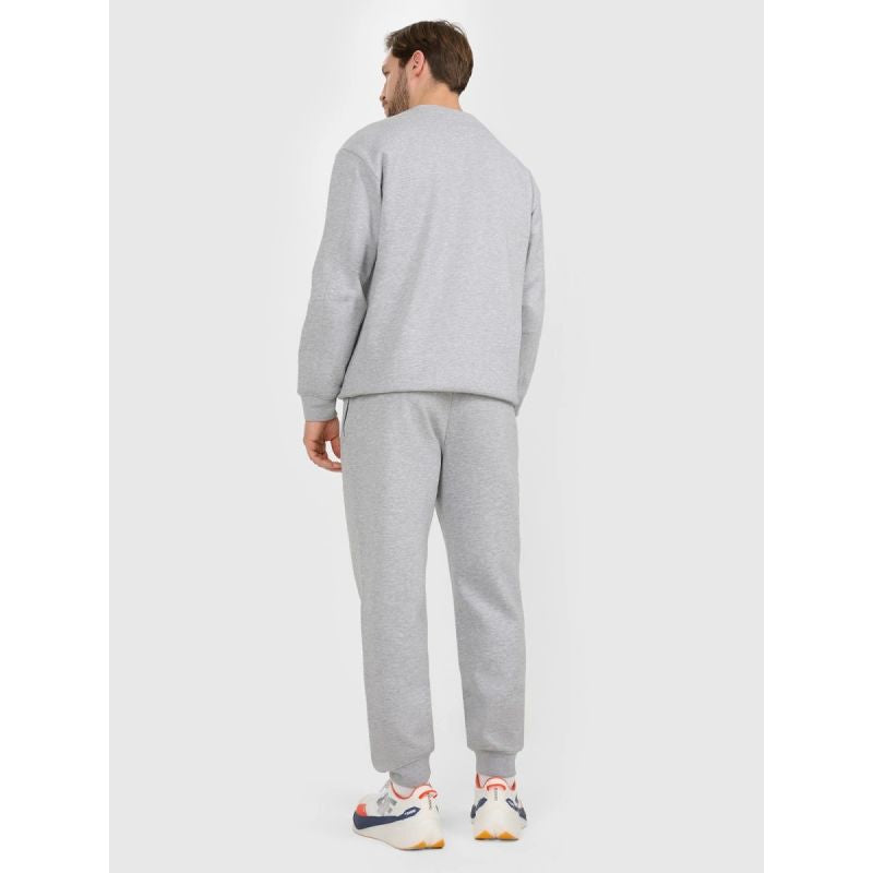 Men's jogger sweatpants 4F 4FRAW25TTROM1832-27M 4f