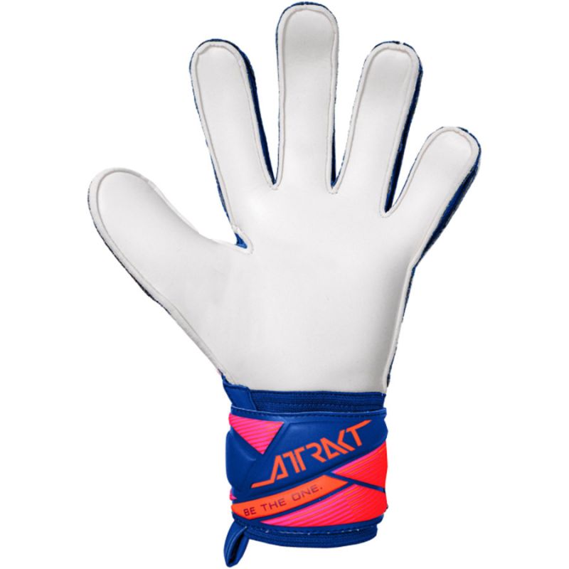 Reusch Attrakt Solid Goalkeeper Gloves Blue 5670515 4126 To be categorized Your Sports Performance