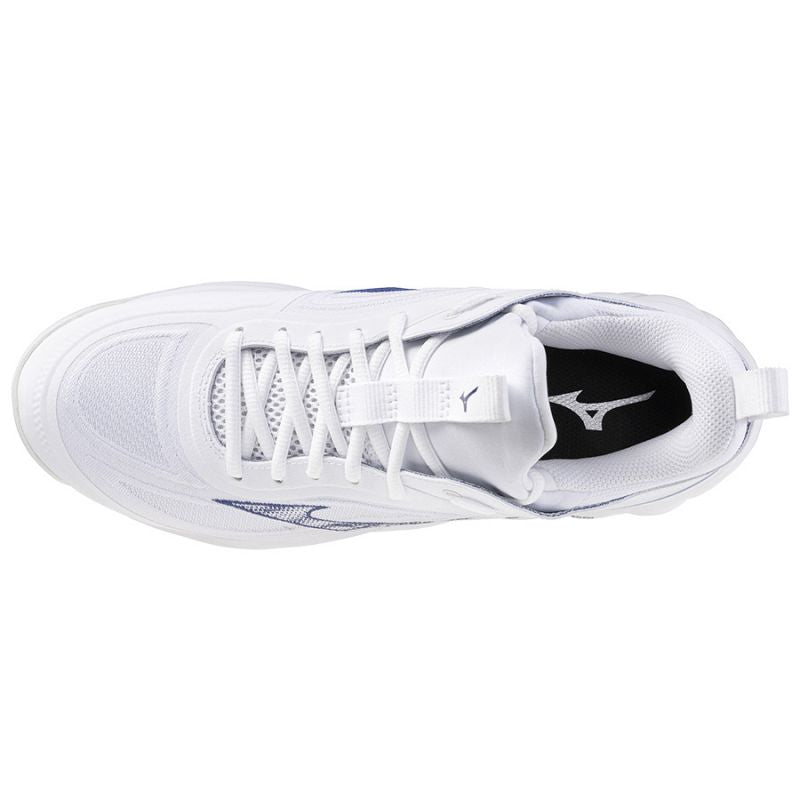 Mizuno WAVE LUMINOUS 3 V1GA242096 shoes Footwear/Volleyball/Men Mizuno