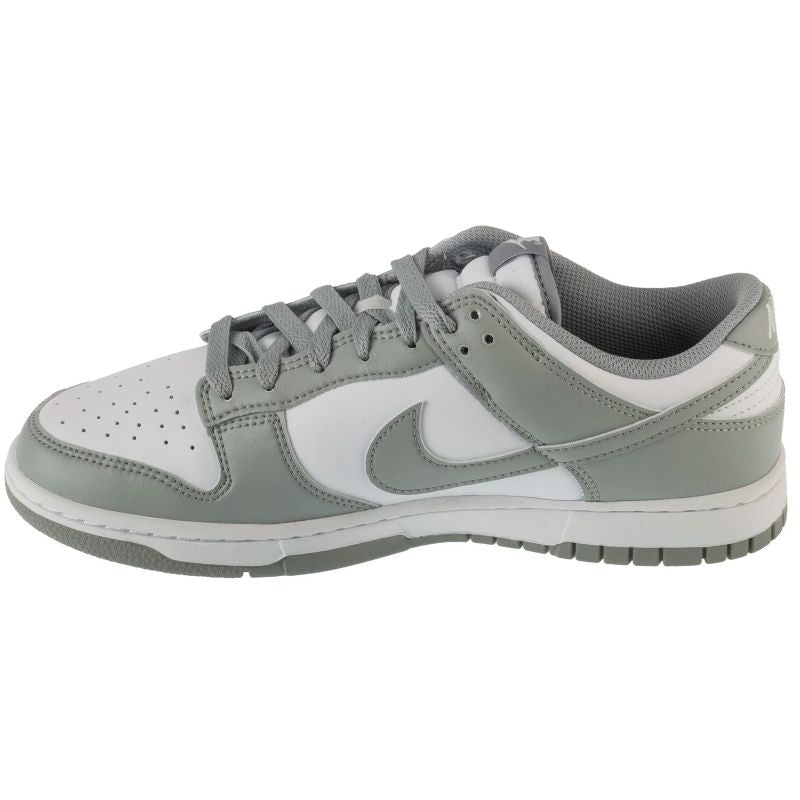 Nike Dunk Low Retro HF5441-105 shoes Footwear/Lifestyle/Nike Nike