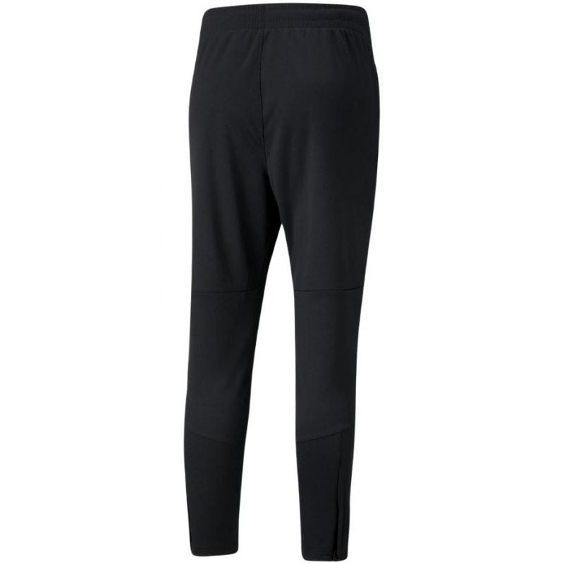 Puma Individual FINAL Training Pants M 657954 45 Clothing/Training Puma