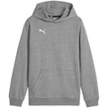 Puma Team Goal Casuals Hoddy Jr sweatshirt 658619 33 Clothing/Training Puma