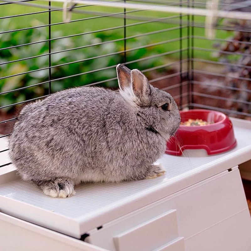 FERPLAST Rabbit 140 plus - rabbit cage (foldable) Dla małych zwierząt/Klatki Your Sports Performance