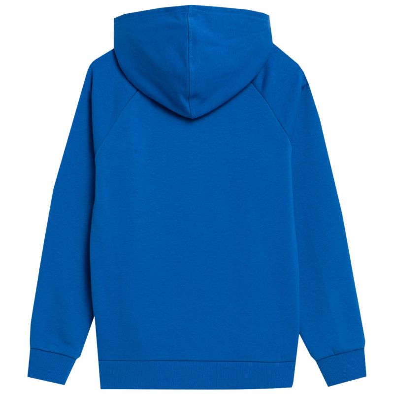 Sweatshirt 4F Jr. 4FJSS23TSWSM220 36S Clothing/Lifestyle/4F 4F