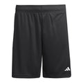adidas Junior Entrada 26 JZ6531 Shorts adidas