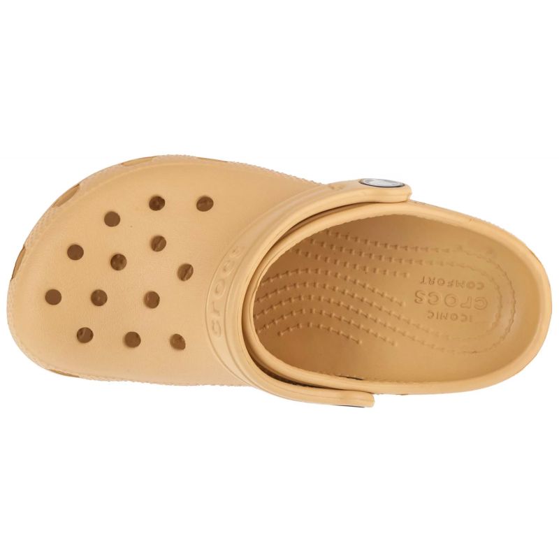 Crocs Classic Clog Jr 206991-209 Footwear/Lifestyle/Crocs Crocs