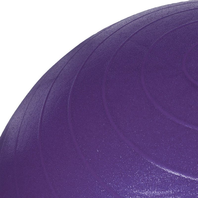 PROfit gym ball 55cm black with pump DK2102