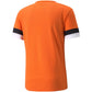 Puma teamRise Jersey M 704932 08 Clothing/Training Puma