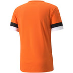 Puma teamRise Jersey M 704932 08 Clothing/Training Puma