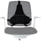 Fellowes Ergonomics Professional Back Support Cushion In preparation Your Sports Performance