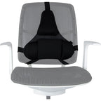 Fellowes Ergonomics Professional Back Support Cushion In preparation Your Sports Performance
