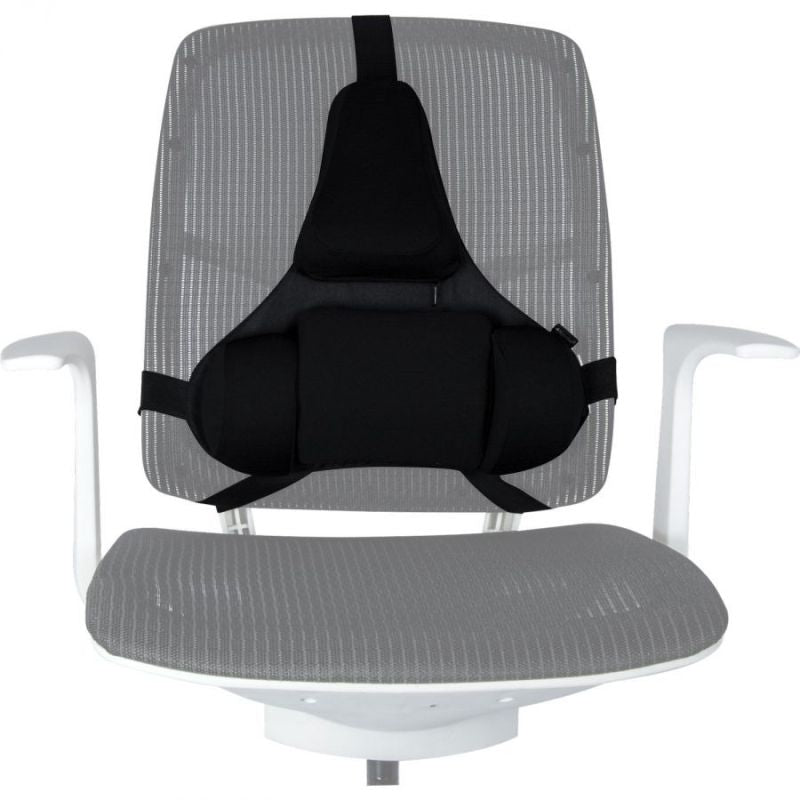 Fellowes Ergonomics Professional Back Support Cushion In preparation Your Sports Performance