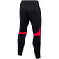 Nike DF Academy Pant KPZ M DH9240 013 pants Clothing/Training Nike
