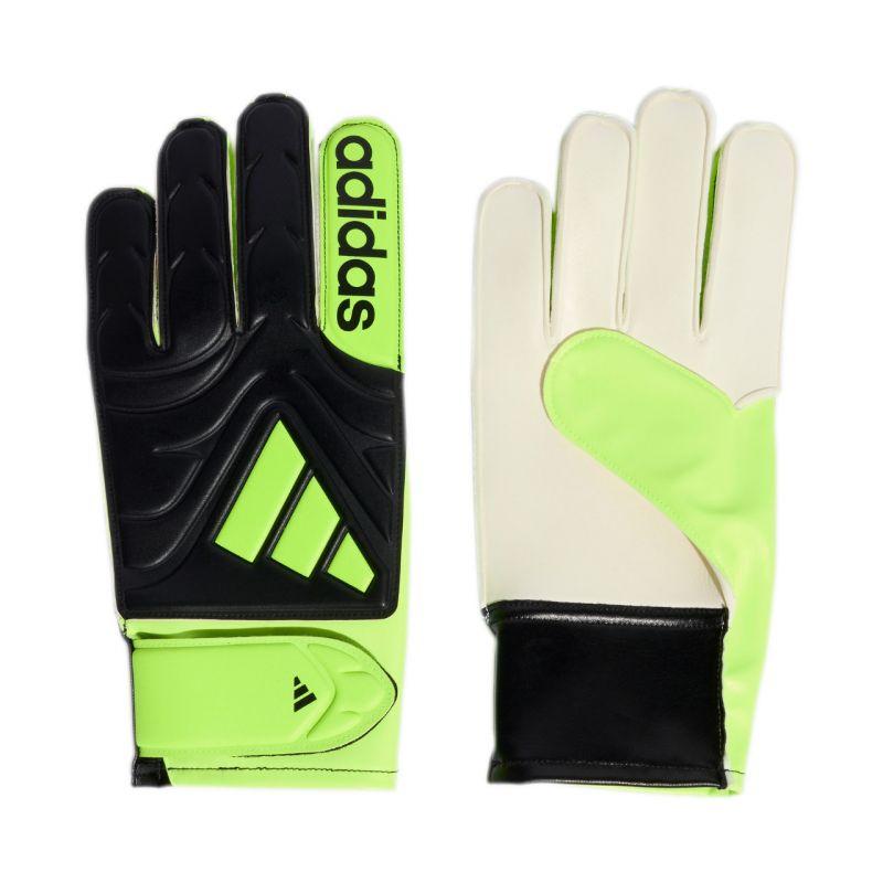 adidas Copa Club JN5340 Goalkeeper Gloves Accessories/Gloves Adidas