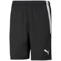 Puma teamLiga M 704924 03 shorts Clothing/Football Puma