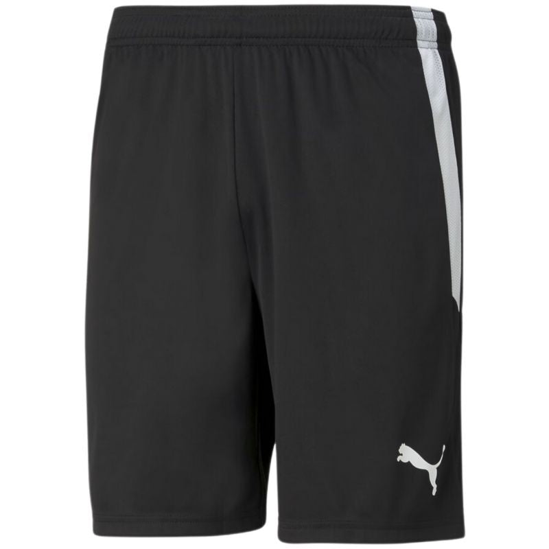 Puma teamLiga M 704924 03 shorts Clothing/Football Puma