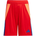 Adidas Tiro 24 Jr IT2422 shorts Clothing/Football Adidas