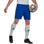 Adidas Entrada 22 M HG6294 shorts Clothing/Training Adidas