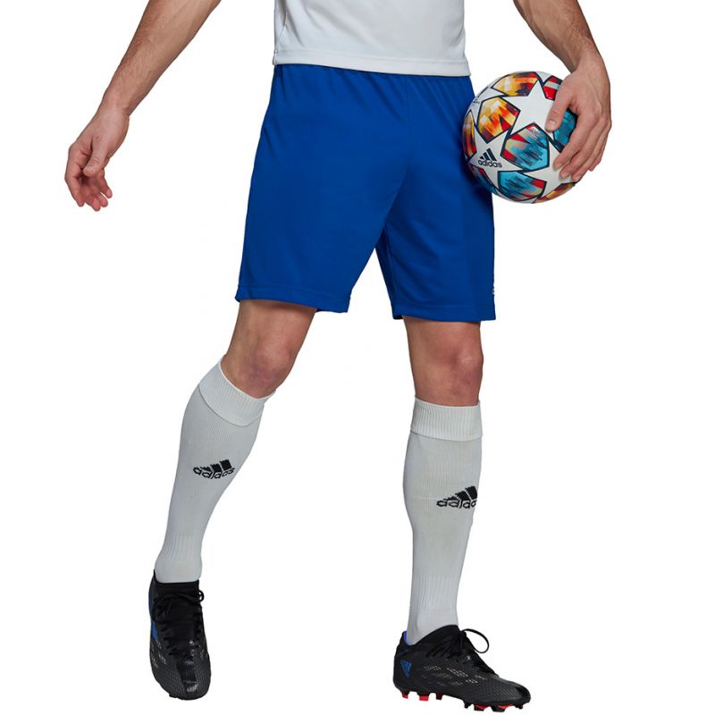 Adidas Entrada 22 M HG6294 shorts Clothing/Training Adidas